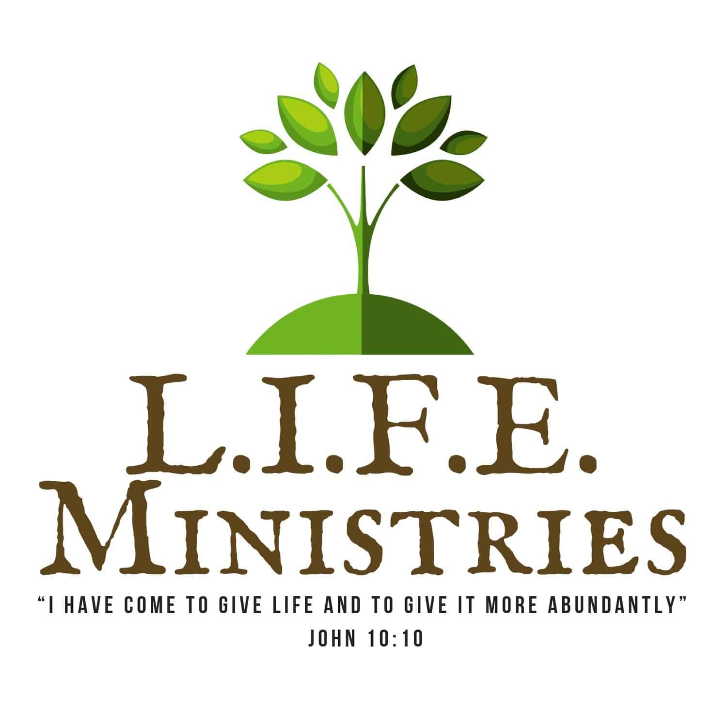 L.I.F.E Addiction Recovery